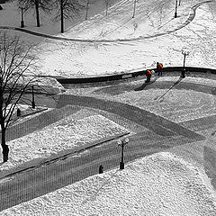 photo "Let's clean the Mirbius tape from snow!"