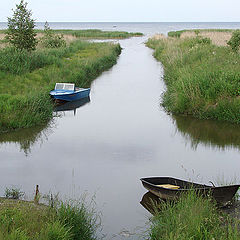 photo "In a small bay"