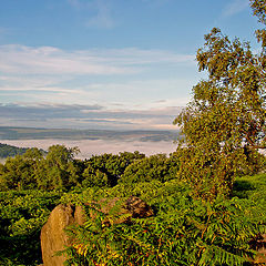 photo "A view fro the top"