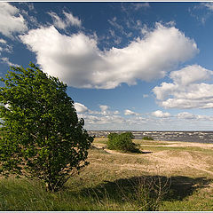 photo "Wind..."