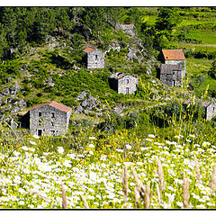 фото "Panheiras"