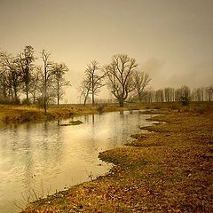 photo "River runs through"