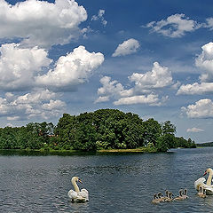 фото "Первые уроки."