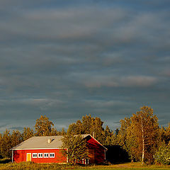 photo "Sunset colours"