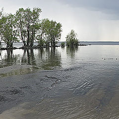 фото "После грозы"