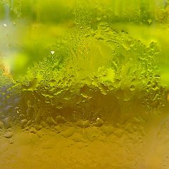 photo "beer"