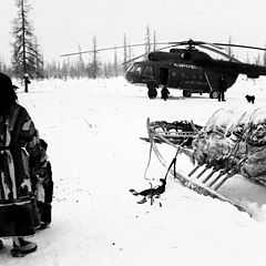 фото "Вертолет в бригаде ненцев"