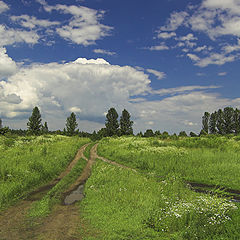 фото "Мой край"