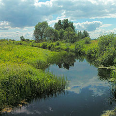 фото "Речушка"