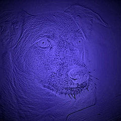 photo "BLUE dog"