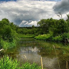 фото "Середина лета"