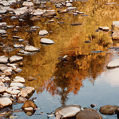 photo "...autumn reflections..."