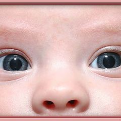 photo "Through a baby's eyes."