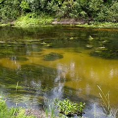 photo "River Vorskla"