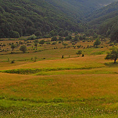 photo "Vitosha"