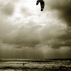 photo "Kites"