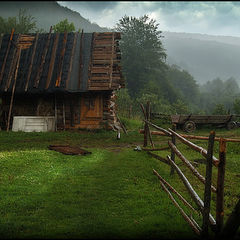 фото "After rain"