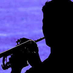 photo "Blues In The Night"