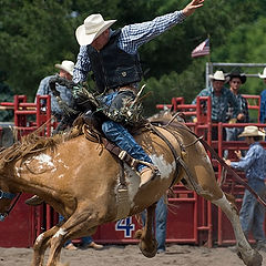 photo "rodeo"