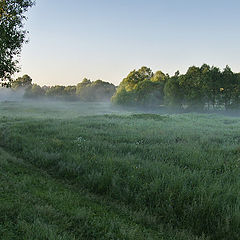 photo "Fog"