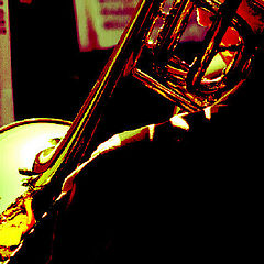 photo "T-Bone"