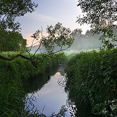 photo "Upwards on a stream by a dawn..."