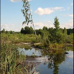 фото "Российские просторы 1"