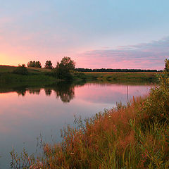 фото "Краски лета"