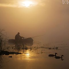 фото "Утро"