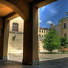 фото "chapella's yard"