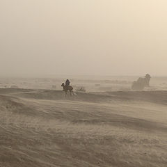 photo "Sandstorm"