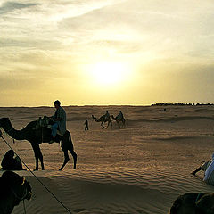 фото "Белое солнце пустыни"