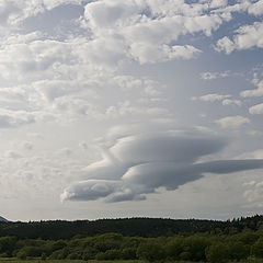 фото "Редкий вид"