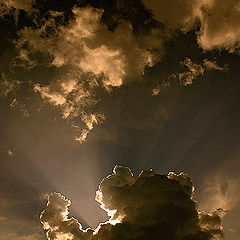 photo "***"