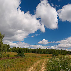 фото "Лето с нами"