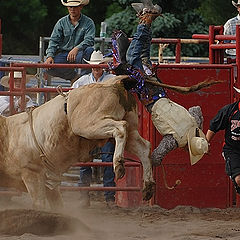 photo "Rodeo"