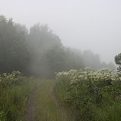 фото "Утренняя прогулка"