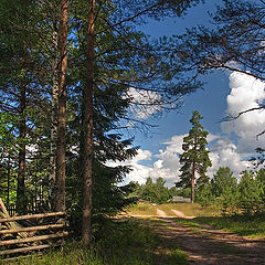 фото "Деревенька в лесу"