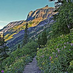 photo "The Highline Trail"