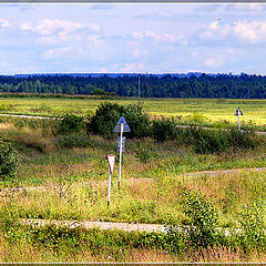 фото "ZигZаги"