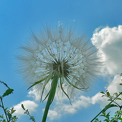 photo "ground view"