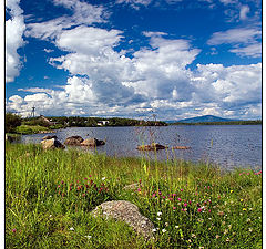 photo "Grass & Stone"