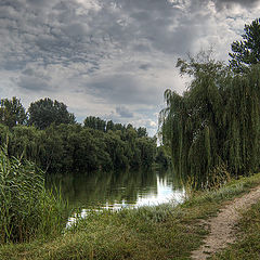 photo "lowering morning"