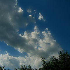 photo "clouds"