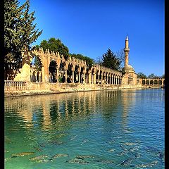 фото "Holy Lake With Fishs in Turkey"