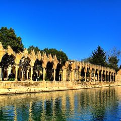 фото "Holy Lake With Fishs in Turkey"