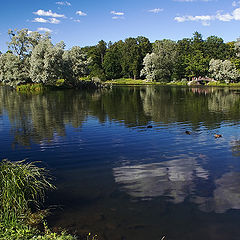 photo "The sunk clouds..."