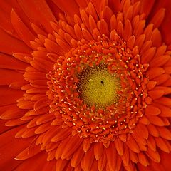 фото "13"