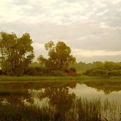 photo "Early morning silence"