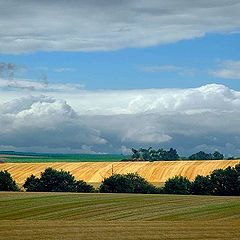 photo "flanders fields 2"